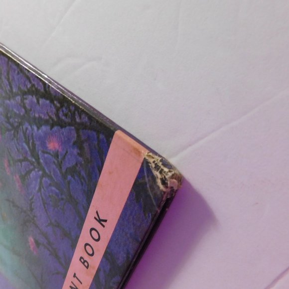 Sleeping Beauty Book 1959 Vintage Rand McNally Giant Book - Picture 9 of 10